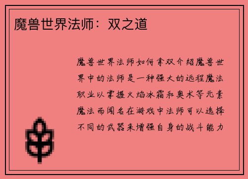 魔兽世界法师：双之道